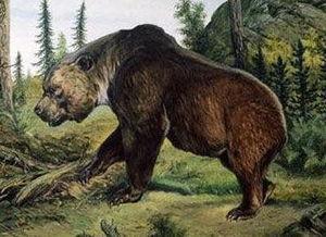 亚洲最大的熊类繁殖基地,守护珍稀物种的绿色家园