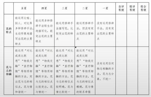 亚洲单元作业设计,单元作业设计概览