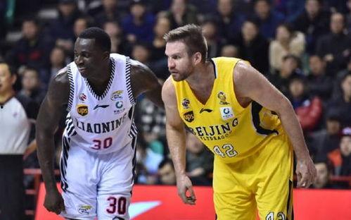 亚洲兰多夫,探寻东方神秘兰花之魅